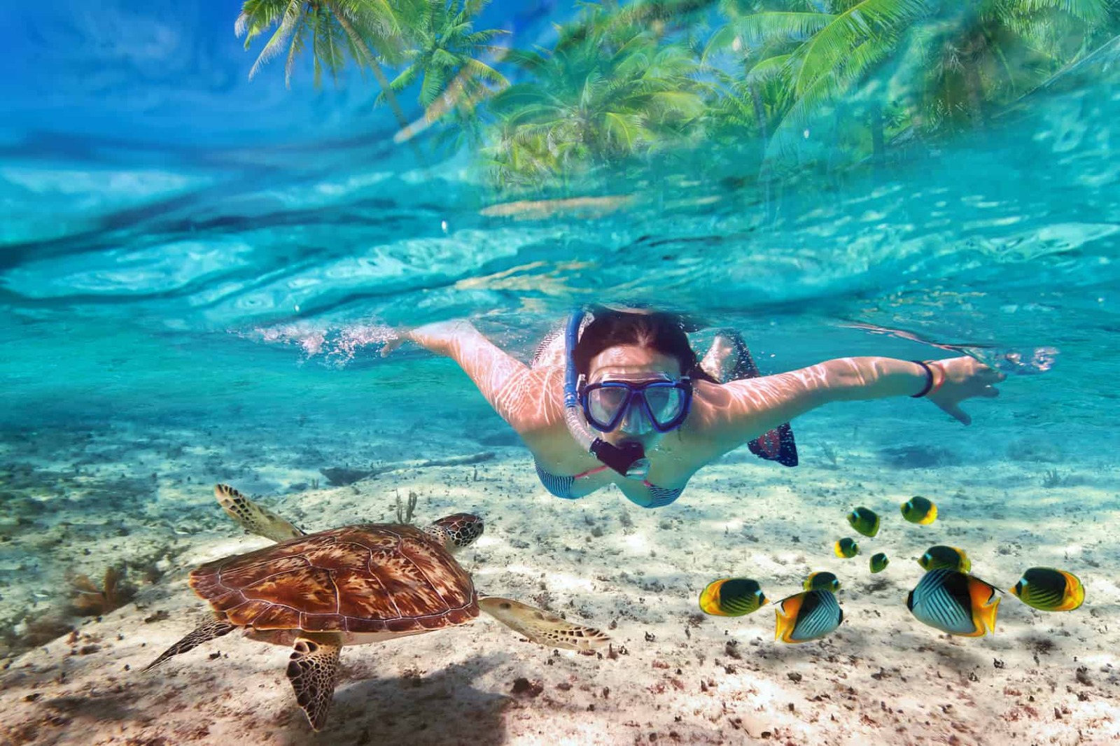Red Sea